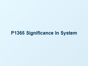 P1365 Definition and Significance in Systems