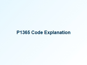P1365 Code Explanation and Meaning